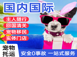 南通兴东国际宠物托运 【国